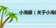 小海眼(關于小海眼簡介)