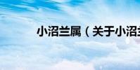 小沼蘭屬(關于小沼蘭屬簡介)