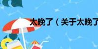 太晚了(關于太晚了的簡介)