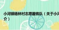 小河鎮楊林村志愿服務隊(關于小河鎮楊林村志愿服務隊簡介)