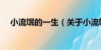 小流氓的一生(關于小流氓的一生簡介)