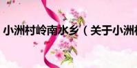 小洲村嶺南水鄉(關于小洲村嶺南水鄉簡介)