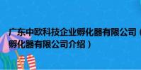 廣東中歐科技企業孵化器有限公司(關于廣東中歐科技企業孵化器有限公司介紹)