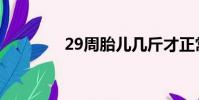 29周胎兒幾斤才正常(29)