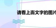 請看上面文字的圖片(請看)
