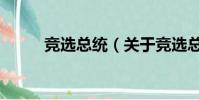 競選總統(關于競選總統的簡介)