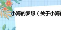 小海的夢想(關于小海的夢想簡介)