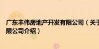 廣東豐偉房地產開發有限公司(關于廣東豐偉房地產開發有限公司介紹)