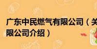 廣東中民燃氣有限公司(關于廣東中民燃氣有限公司介紹)