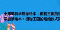 小海綿科學啟蒙繪本:植物王國的結婚儀式(關于小海綿科學啟蒙繪本:植物王國的結婚儀式簡介)