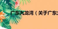 廣東九龍灣(關于廣東九龍灣介紹)