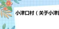 小津口村(關于小津口村簡介)