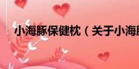小海豚保健枕(關于小海豚保健枕簡介)