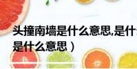 頭撞南墻是什么意思,是什么生肖(頭撞南墻是什么意思)