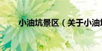 小油坑景區(關于小油坑景區簡介)