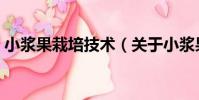 小漿果栽培技術(關于小漿果栽培技術簡介)