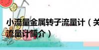 小流量金屬轉子流量計(關于小流量金屬轉子流量計簡介)