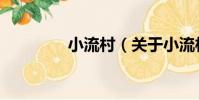 小流村(關于小流村簡介)