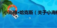 小海梅·哈克斯(關于小海梅·哈克斯簡介)