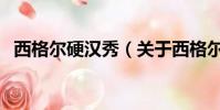 西格爾硬漢秀(關于西格爾硬漢秀的簡介)