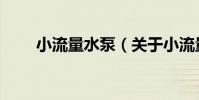 小流量水泵(關于小流量水泵簡介)