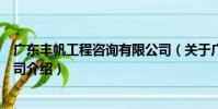 廣東豐帆工程咨詢有限公司(關于廣東豐帆工程咨詢有限公司介紹)
