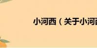 小河西(關于小河西簡介)