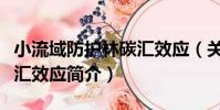小流域防護林碳匯效應(關于小流域防護林碳匯效應簡介)