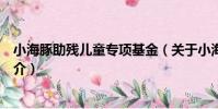 小海豚助殘兒童專項基金(關于小海豚助殘兒童專項基金簡介)