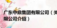 廣東中鼎集團有限公司(關于廣東中鼎集團有限公司介紹)