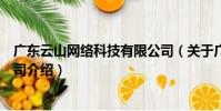 廣東云山網絡科技有限公司(關于廣東云山網絡科技有限公司介紹)