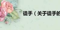 徒手(關于徒手的簡介)