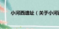 小河西遺址(關于小河西遺址簡介)