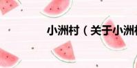 小洲村(關于小洲村簡介)