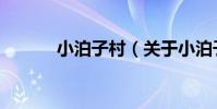 小泊子村(關于小泊子村簡介)