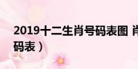 2019十二生肖號碼表圖 肖表(2019生肖號碼表)