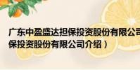廣東中盈盛達擔保投資股份有限公司(關于廣東中盈盛達擔保投資股份有限公司介紹)