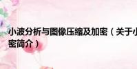 小波分析與圖像壓縮及加密(關于小波分析與圖像壓縮及加密簡介)