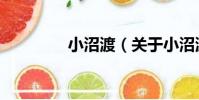 小沼渡(關于小沼渡簡介)
