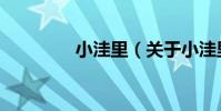 小洼里(關于小洼里簡介)