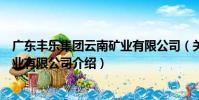 廣東豐樂集團云南礦業有限公司(關于廣東豐樂集團云南礦業有限公司介紹)