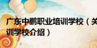 廣東中鵬職業培訓學校(關于廣東中鵬職業培訓學校介紹)