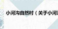 小河溝自然村(關于小河溝自然村簡介)