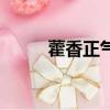 藿香正氣膠囊功效與作用（藿香）