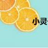 小靈子（關于小靈子簡介）
