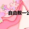 自由艦一公里多少錢(自由艦多少錢)