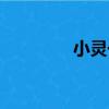 小靈一（關于小靈一簡介）