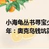 小海龜叢書尋寶少年：奧克島錢坑（關于小海龜叢書尋寶少年：奧克島錢坑簡介）