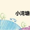 小灣塘村（關于小灣塘村簡介）
