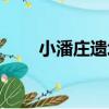 小潘莊遺址（關于小潘莊遺址簡介）